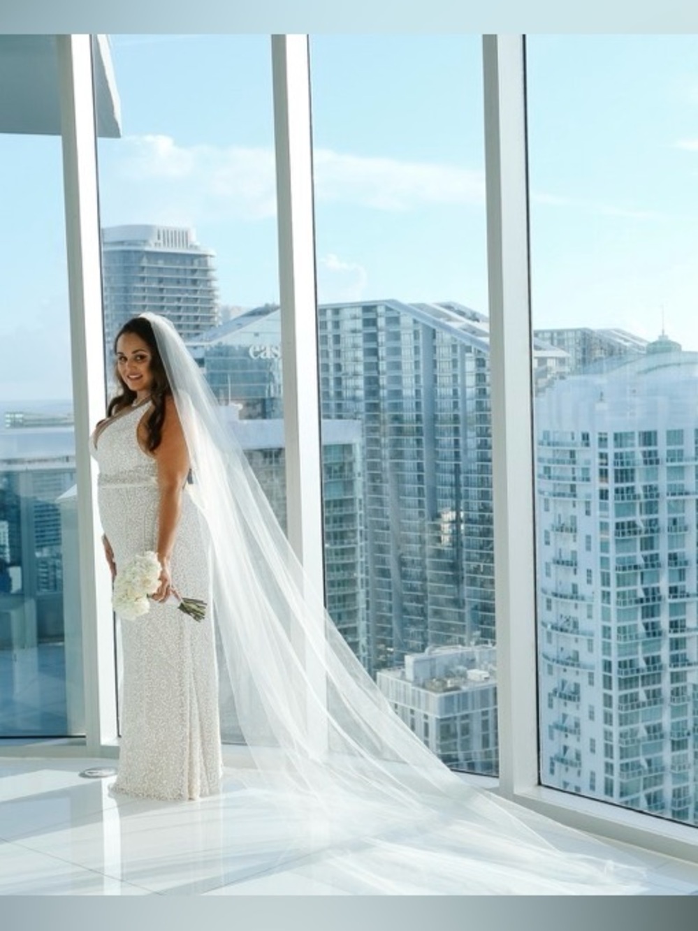 David's Bridal White Tulle Veil with Comb
